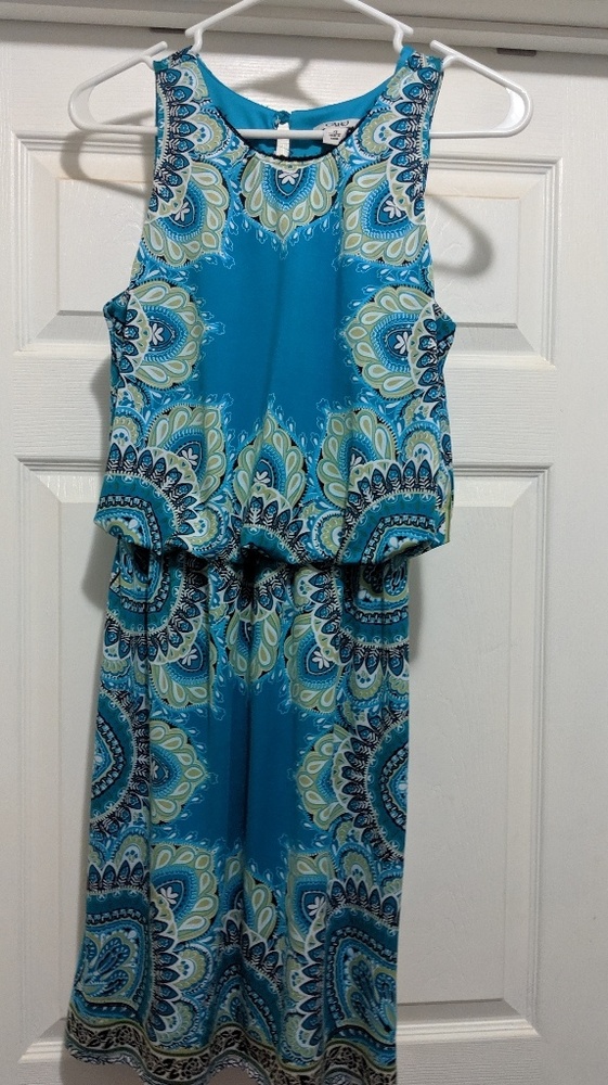 Paisley Cato dress